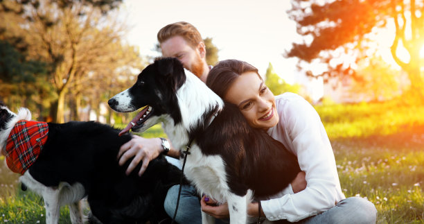 美丽的女人和狗享受他们的时间在大自然图片下载