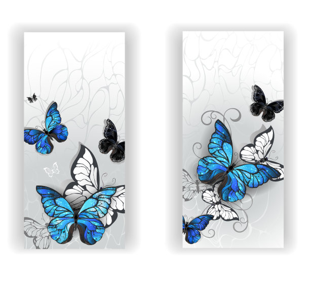 两个横幅蝴蝶大闪蝶图片下载