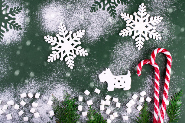 冬天的组成与狗和雪花。在绿色背景上。圣诞贺卡。木制的数据图片下载