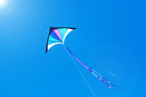 风筝图片素材ID：312148914