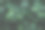 薄荷照片素材ID：312150336