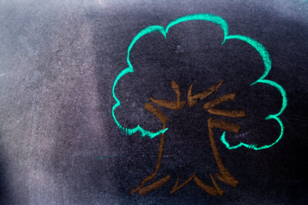 彩色粉笔画树的形状在黑板的背景图片下载