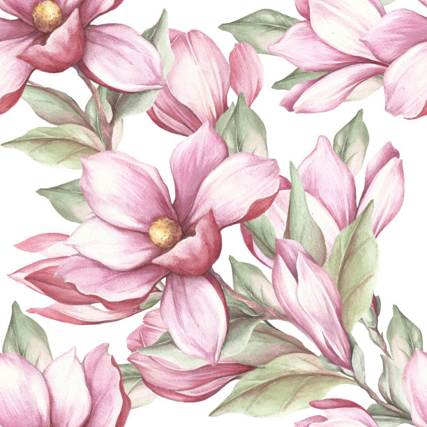 无缝图案与盛开的木兰。水彩插图。图片下载