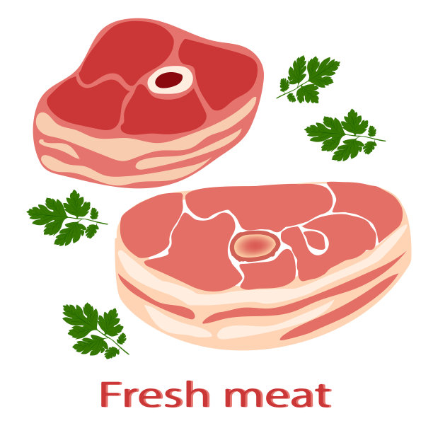 在白色背景下分离的新鲜生肉。肉类产品。肉牛排。向量。图片下载