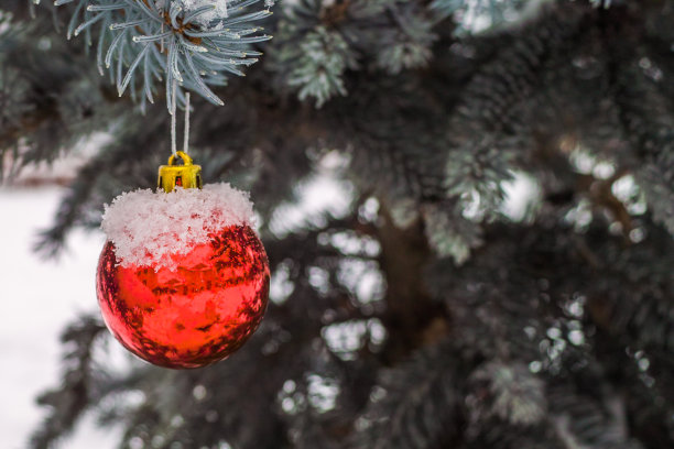 圣诞树的玩具图片下载