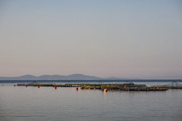 米兰图片素材ID：312212454