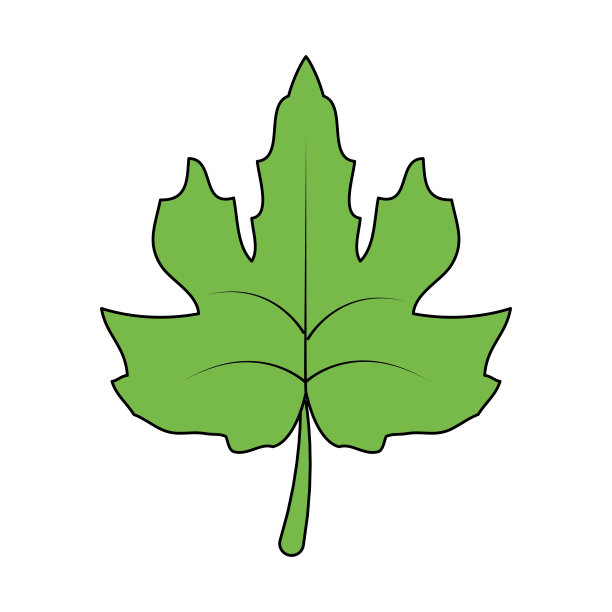 孤立的叶片设计图片下载