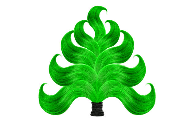 圣诞树，绿色的头发孤立在白色的背景图片下载