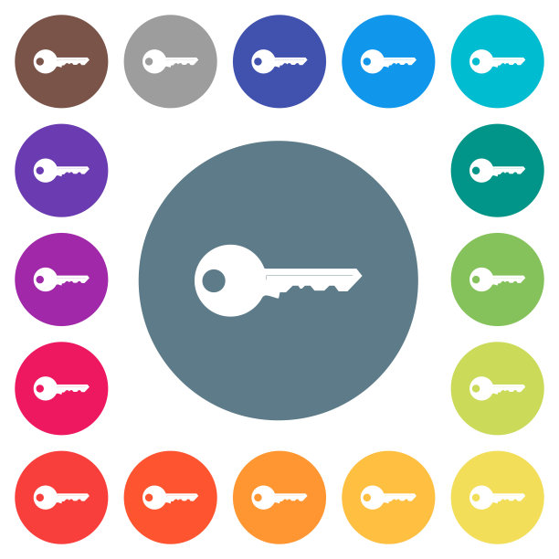 安全键上的圆形背景上的白色图标图片下载