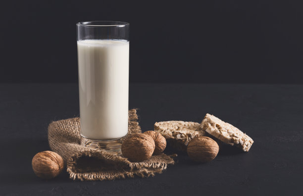 自制乳制品、素食奶、素食食品图片下载