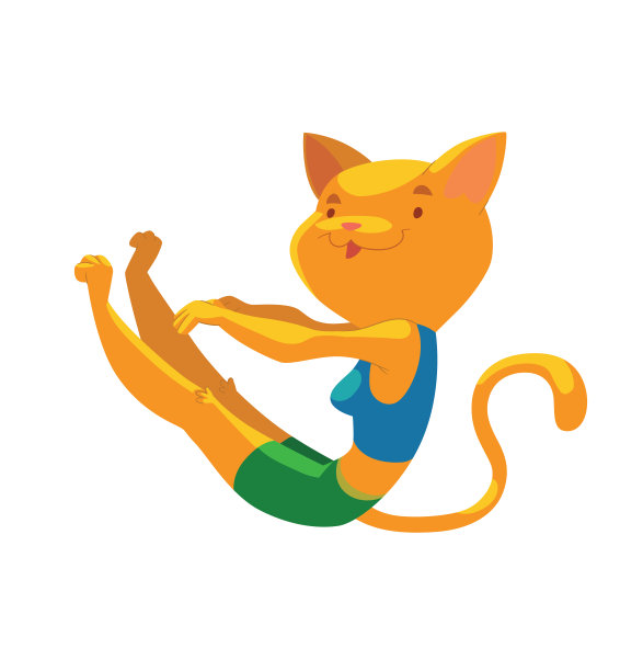 动物在健身房，猫图片下载