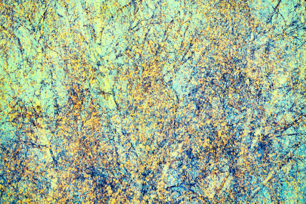 有黄色叶子的桦树图片下载