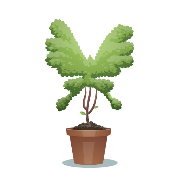 绿色盆景树，蝴蝶图片下载