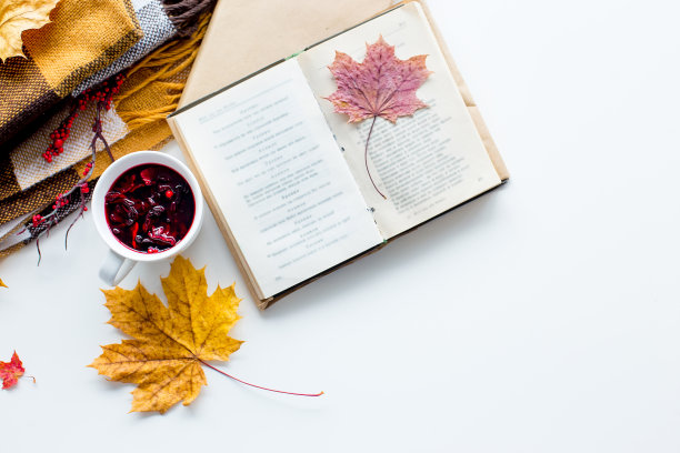 背景是秋天的黄叶图片下载