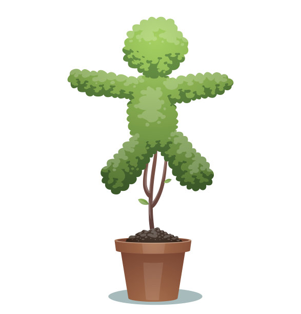 绿色盆景树，小朋友图片下载