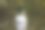 天鹅在池塘里休息图片下载