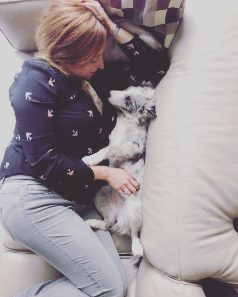 一个女人和一只边境牧羊犬小狗坐在沙发上图片下载