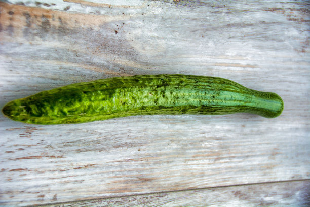 Cucmber木材。图片下载