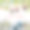 用冬青浆果、蝴蝶结、小鸟和松果写着温馨的祝福，圣诞快乐。图片下载