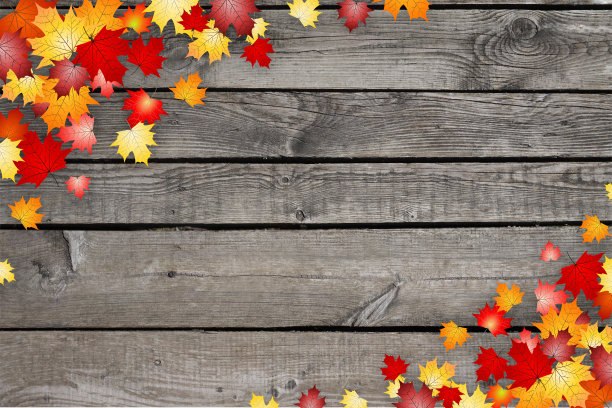 树叶插画图片下载