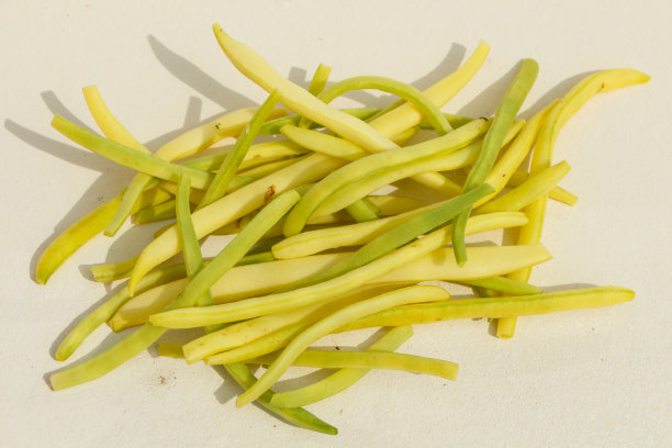 黄色的四季豆图片下载