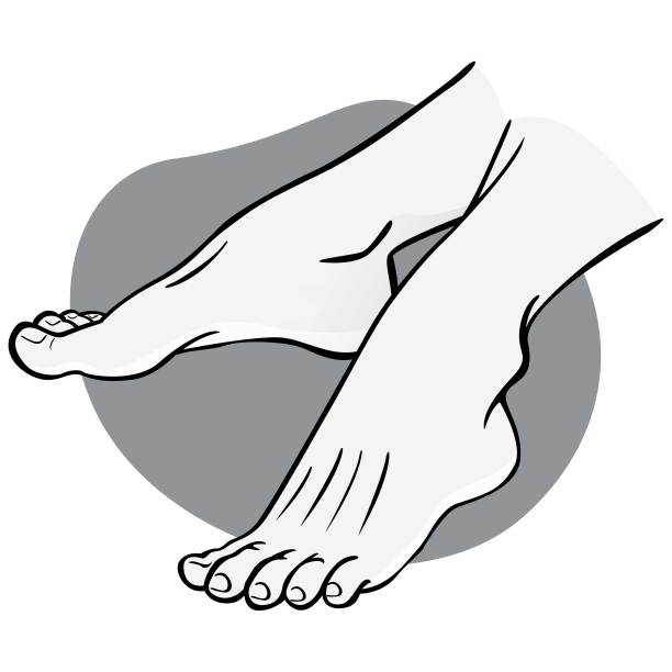 插图人，一双人脚，黑白相间，侧视图。理想的目录，信息和机构指南图片下载