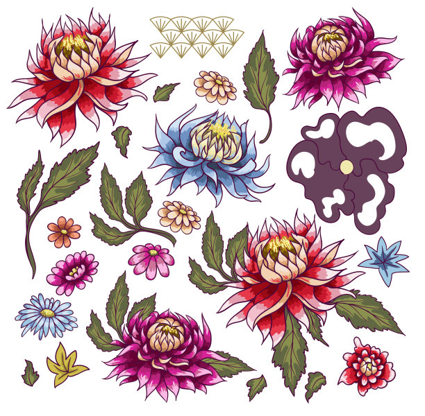 一套画花紫菀。日本风格。图片下载