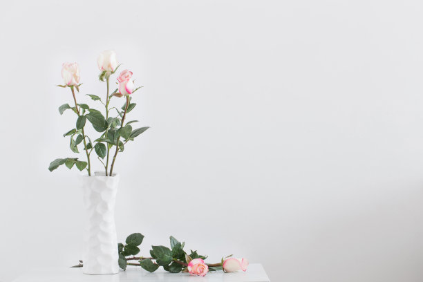 花瓶里的粉红玫瑰图片下载