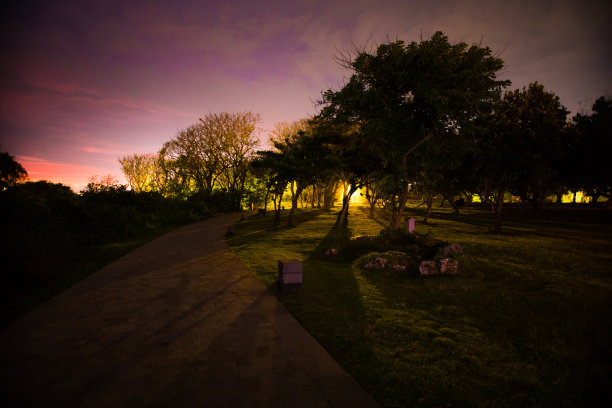 日落时分，公园小径上树木的剪影图片下载