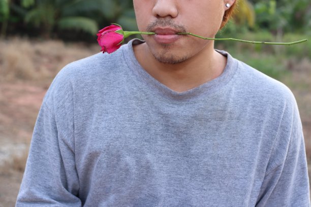 一个年轻浪漫的男人，在大自然模糊的背景下，嘴里衔着一朵红玫瑰。爱情和浪漫情人节的概念。图片下载