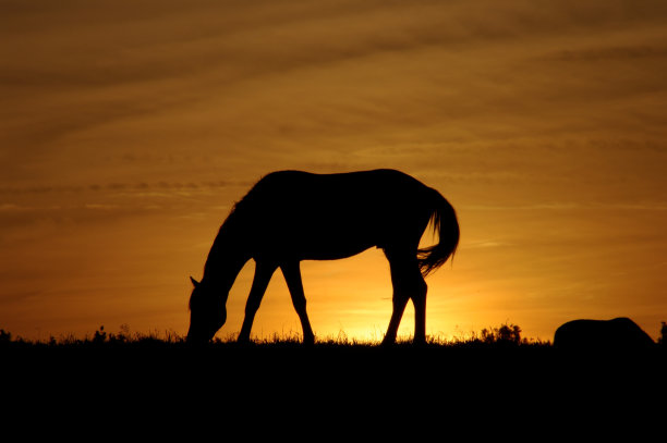 日落设置图片下载