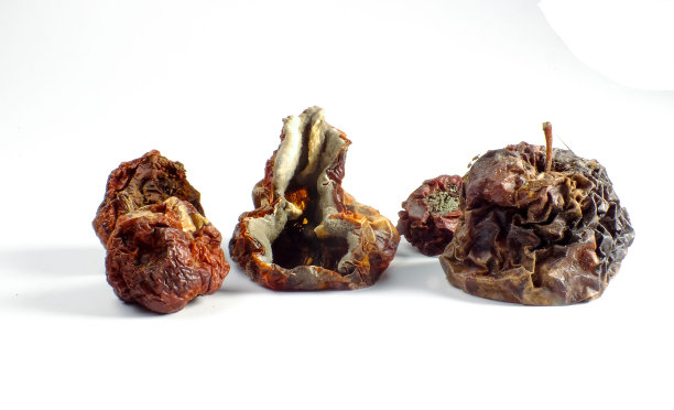 高度腐烂的苹果图片下载