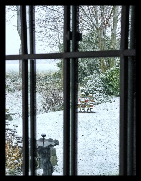 冬天在后院照镜子图片下载