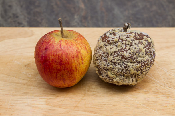 霉菌在上面生长，苹果图片下载