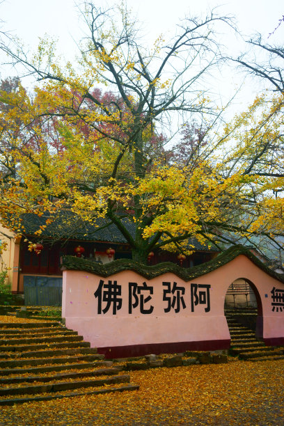 秋日寺庙，寺庙周围环绕着金色的树叶素材图片