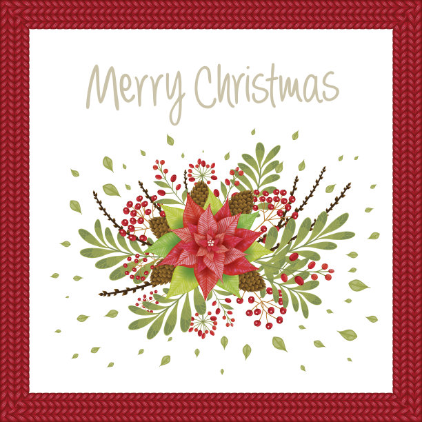 圣诞设计由一品红、槲寄生、冷杉枝、球果、冬青等植物组成。封面，请帖，横幅，贺卡。矢量插图。图片下载