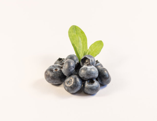 蓝莓孤立在白色背景上图片下载