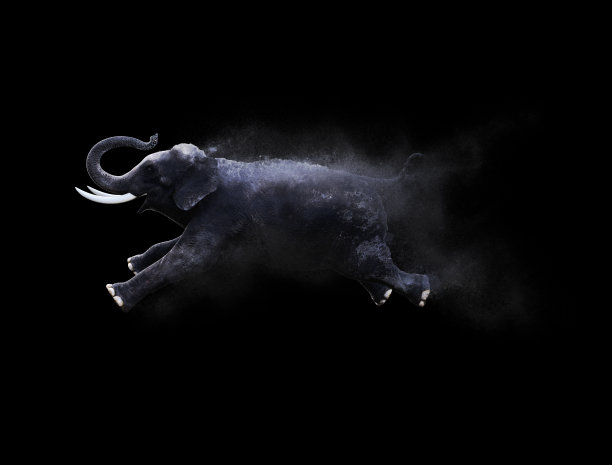 大象移动和跳跃与灰尘颗粒效应图片下载