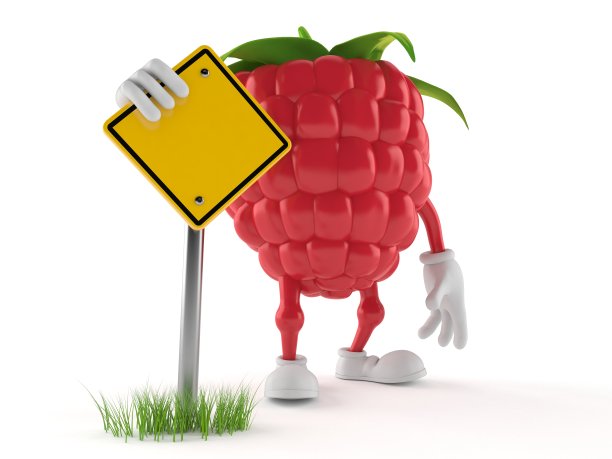 树莓字与空白路牌图片下载