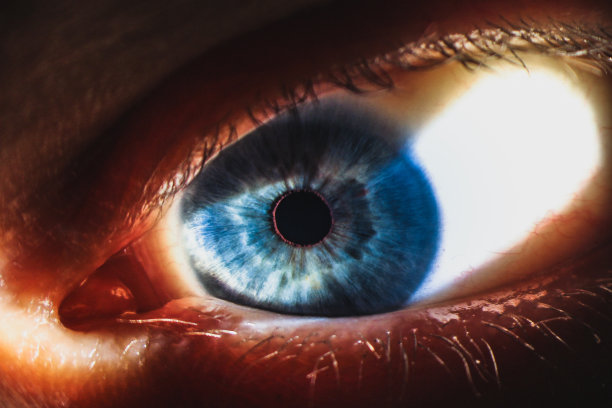 放大的眼睛图像，有蓝色的虹膜、睫毛和巩膜。这张照片是用带有内置摄像头的狭缝灯拍摄的图片下载