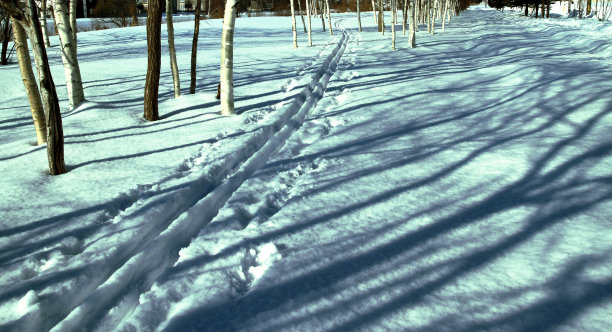 冬季的北海道景观图片下载