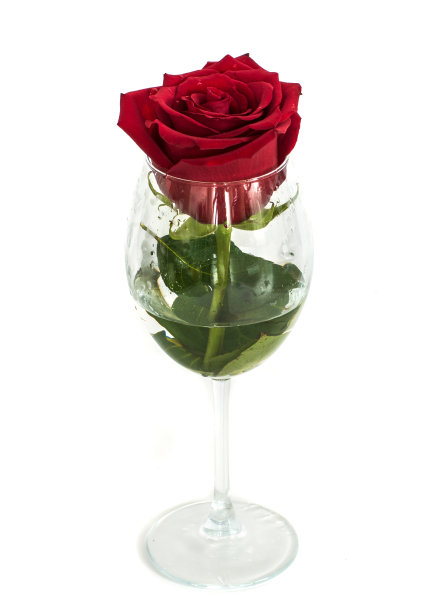 一杯玫瑰，白底，图片下载