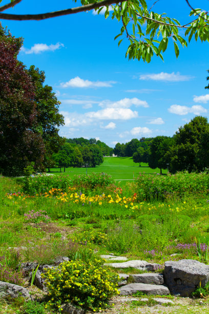公园图片下载