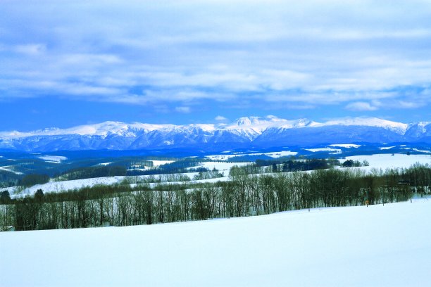 冬天Biei图片下载