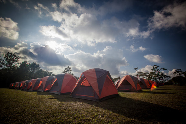 帐篷露营区，清晨，美丽自然的地方有大树图片下载