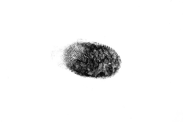 指纹图片下载