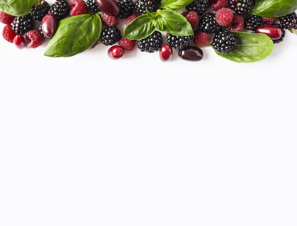 黑色和红色的浆果分离在白色上。成熟的黑莓，覆盆子，山茱萸和罗勒叶在白色的背景。浆果与文本复制空间。前视图。图片下载