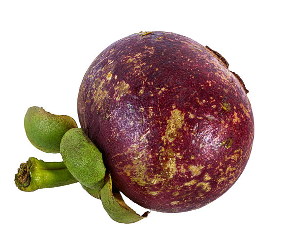 山竹孤立在白色上素材图片