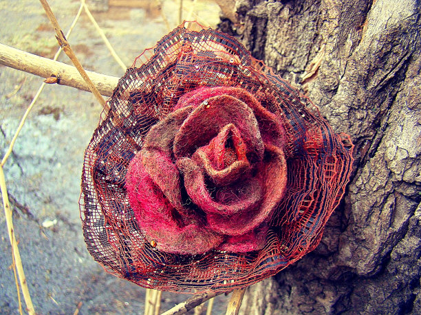 一种漂亮的羊毛做的葡萄酒玫瑰。图片下载