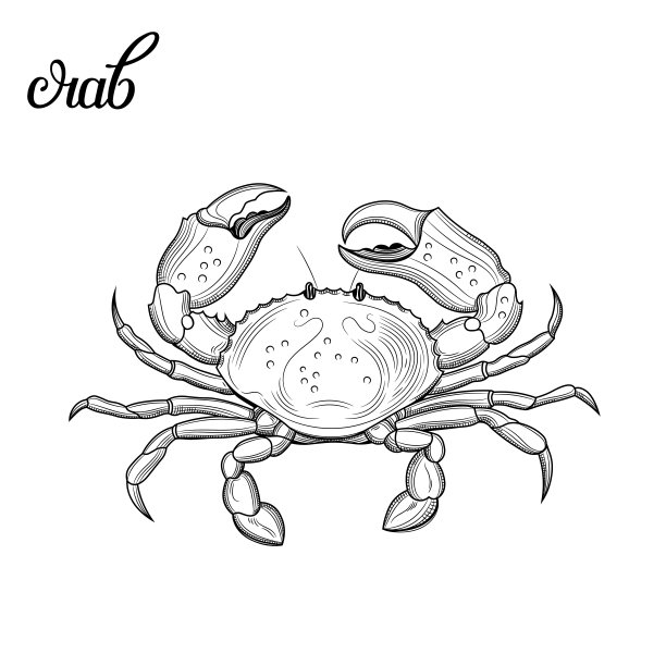 螃蟹。海鲜。图片下载